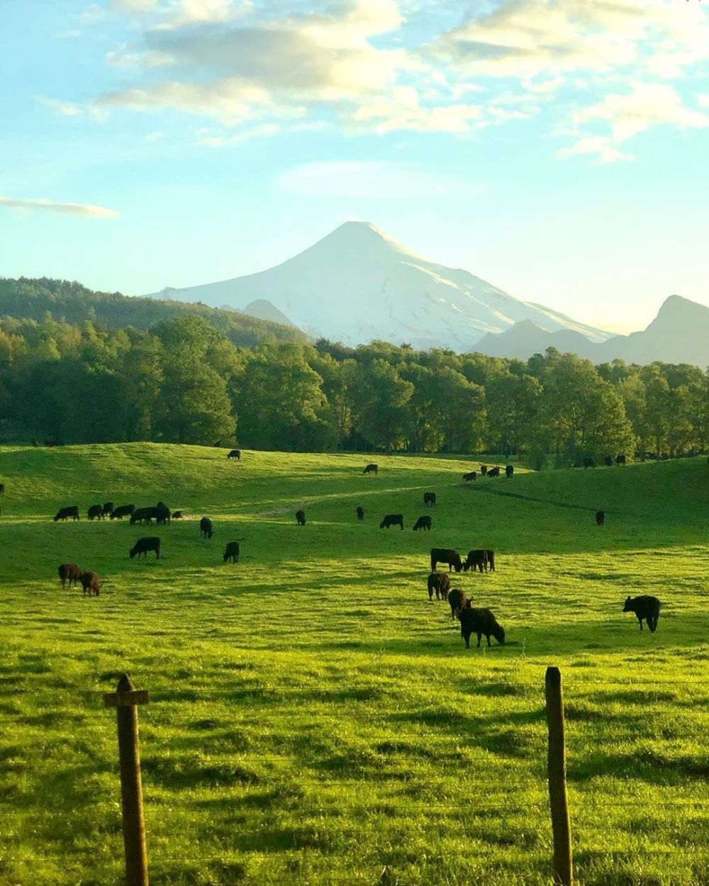 Volcan Osorno, Lago Llanquihue, Region de Los Lagos